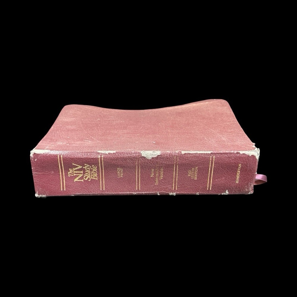 NIV Study Bible LARGE Print Red Letter Edition Bonded Leather Zondervan 1985